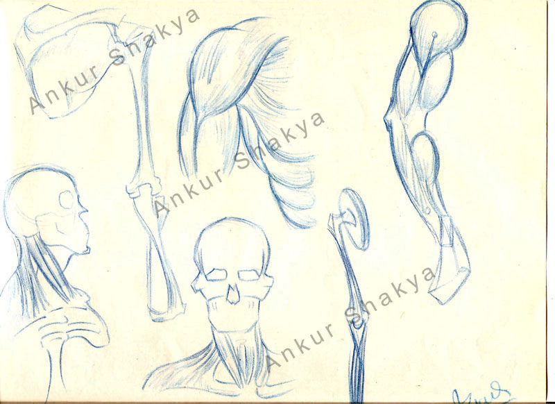 Sketches